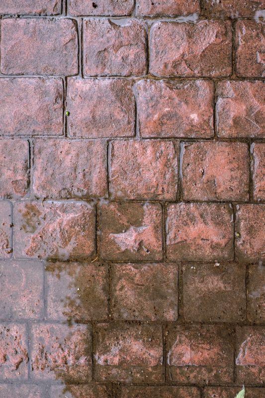 Decorative Concrete Repair in Fort Myers, FL