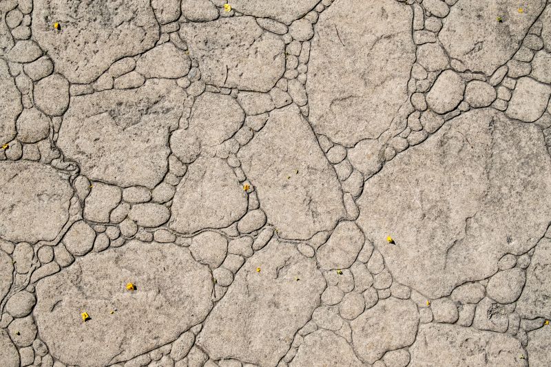 Decorative Concrete Repair in Fort Collins, CO